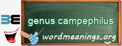 WordMeaning blackboard for genus campephilus